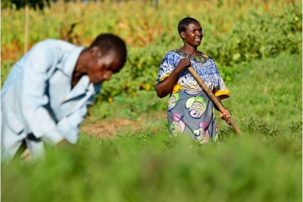 PepsiCo Foundation, CARE partner to tackle gender inequality in agriculture