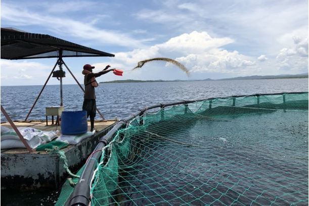 Finnfund invests $6 million to expand aquaculture in Zambia