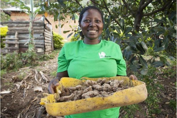 Wefarm secures $13 million funding to lift small scale agriculture