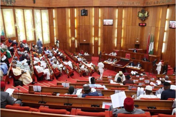 Nigeria's Senate passes N10.59 trillion budget for 2020