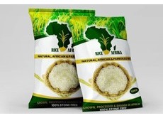 A market creation story: Rice Afrika Technologies