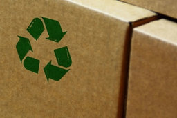 Companies embrace biodegradable packaging to achieve sustainability goals